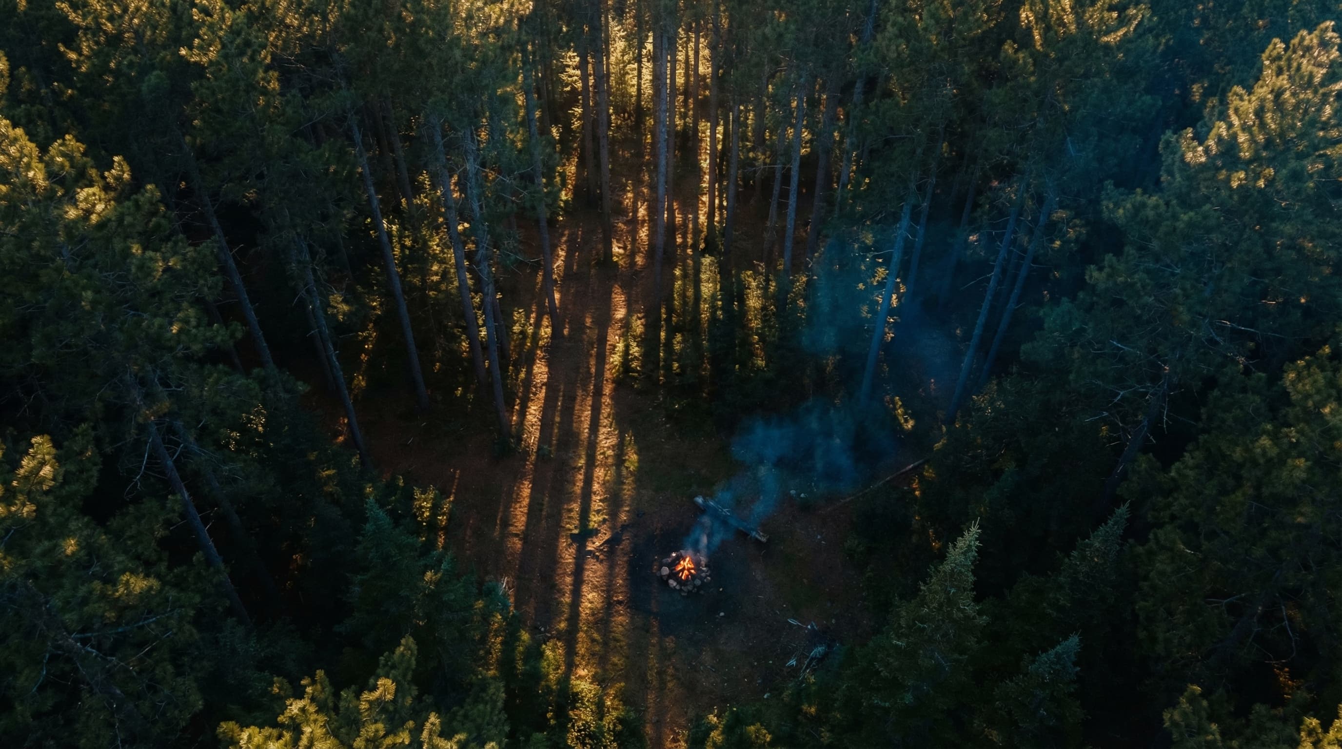 Aerial view of Maine forest